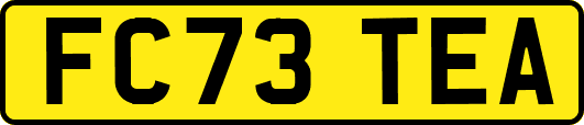 FC73TEA