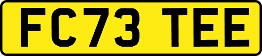FC73TEE