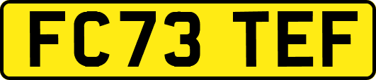 FC73TEF