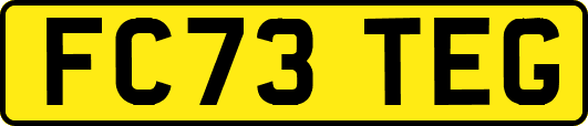 FC73TEG