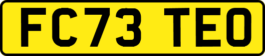 FC73TEO