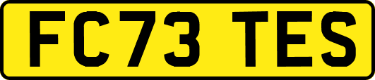 FC73TES
