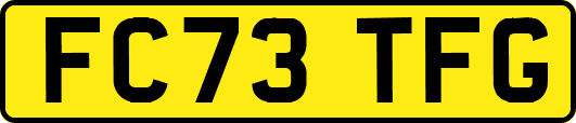 FC73TFG