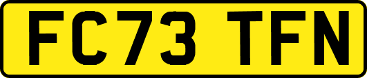 FC73TFN