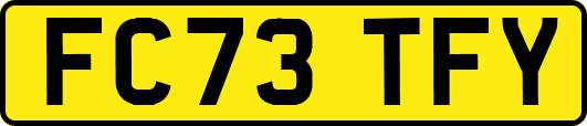 FC73TFY