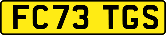 FC73TGS