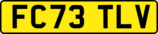 FC73TLV