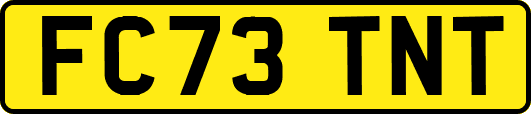 FC73TNT