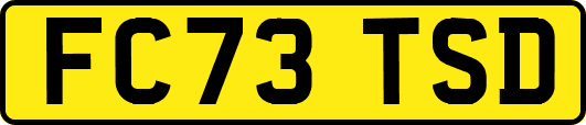FC73TSD