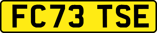 FC73TSE