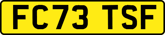 FC73TSF