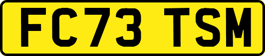 FC73TSM