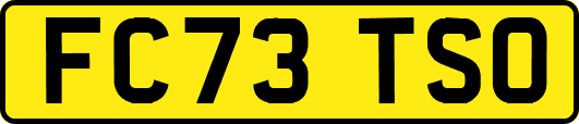 FC73TSO