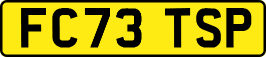 FC73TSP