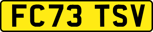FC73TSV