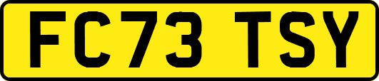 FC73TSY