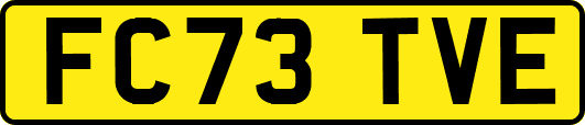 FC73TVE