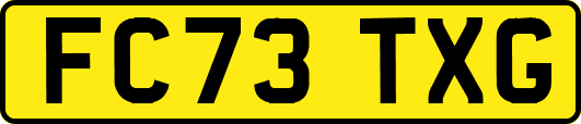 FC73TXG
