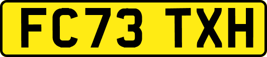 FC73TXH