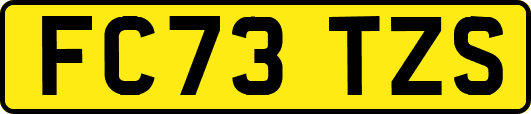 FC73TZS