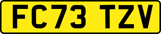 FC73TZV