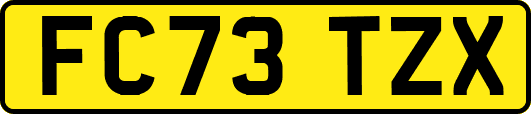 FC73TZX