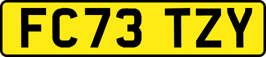 FC73TZY
