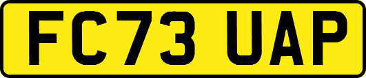 FC73UAP