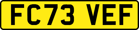 FC73VEF
