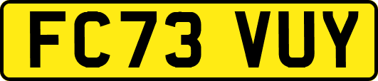 FC73VUY