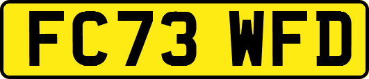 FC73WFD