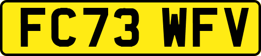 FC73WFV