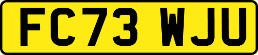 FC73WJU