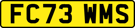 FC73WMS