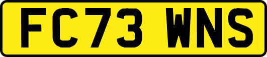 FC73WNS