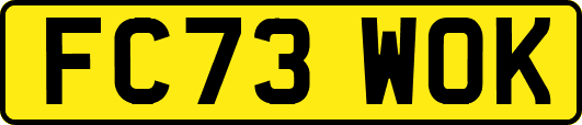 FC73WOK
