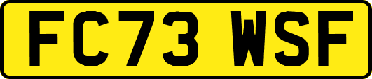 FC73WSF