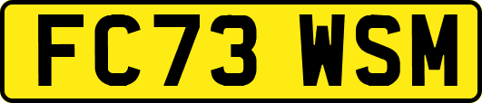 FC73WSM