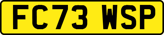 FC73WSP
