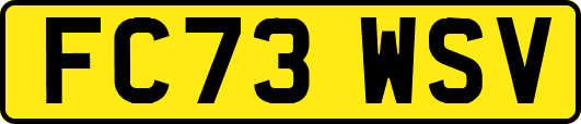 FC73WSV