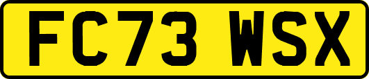 FC73WSX