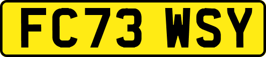 FC73WSY