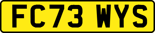 FC73WYS