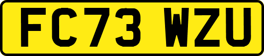 FC73WZU