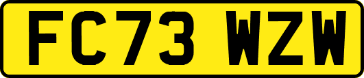 FC73WZW