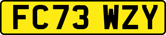 FC73WZY