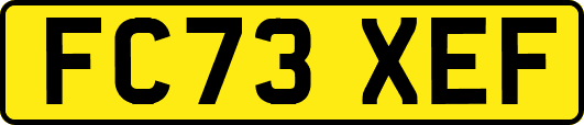 FC73XEF