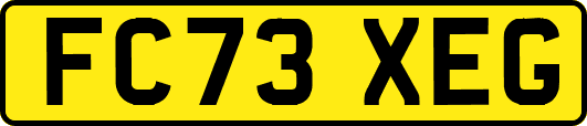 FC73XEG
