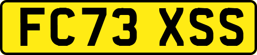 FC73XSS