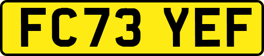 FC73YEF